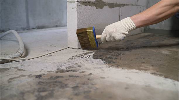 SJ Waterproofing Pros Waterproofing coverage map for Lakeland, GA and surrounding area